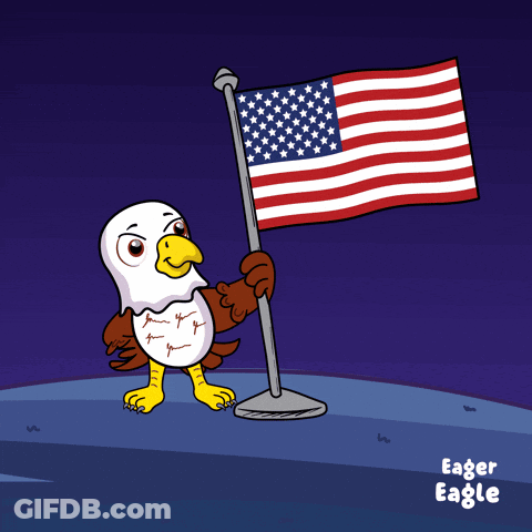Eagle Holding American Flag With Fireworks GIF