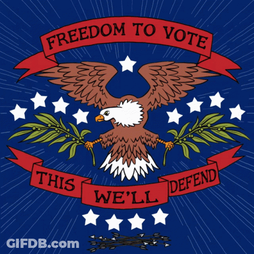 Eagle Holding Freedom To Vote Banner GIF