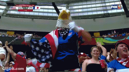 Eagle Mascot With Crowd At Fox Sports Stadium GIF