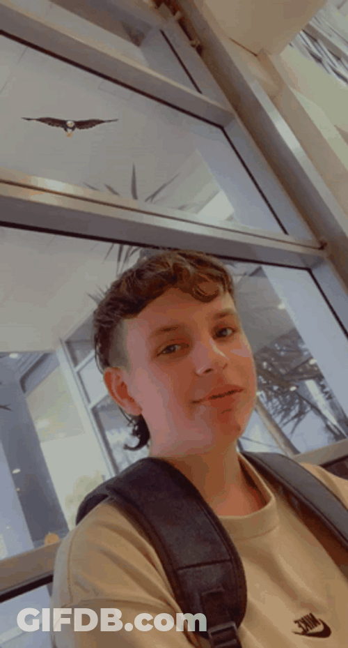 Eagle On Shoulder Landed GIF