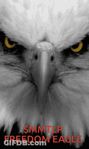 Eagle Poster With MMTLP Freedom GIF