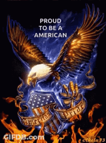 Eagle Proud To Be An American GIF