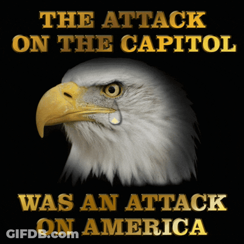 Eagle Riot Attack On America GIF