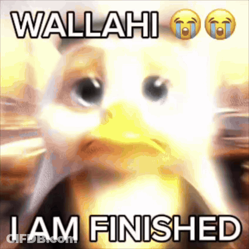 Eagle Saying Wallahi I Am Finished GIF