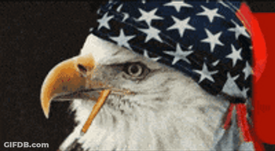 Eagle Wearing Merica Murica Bandana GIF
