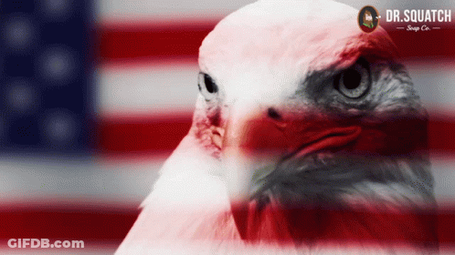 Eagle With Dr Squatch Logo GIF