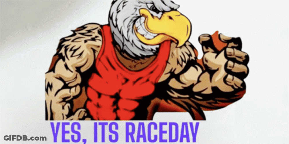 Eagle Yes It's Race Day GIF