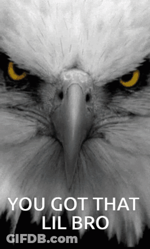 Eagle You Got That Lil Bro GIF