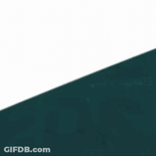 Eagles GIF
