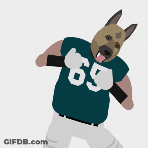 Eagles GIF