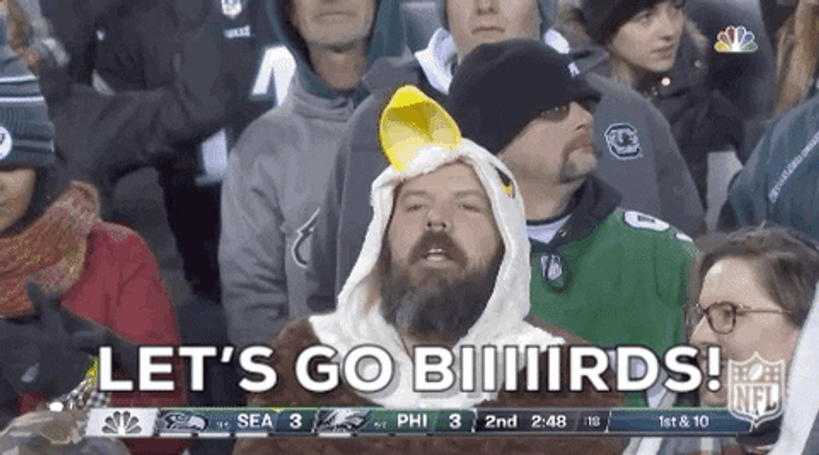 Eagles Fan Let's Go Biiiirds GIF