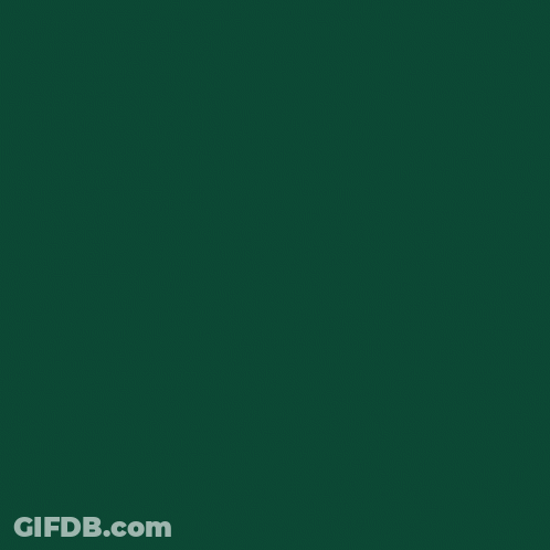 Eagles Logo Everything Matters Vote GIF