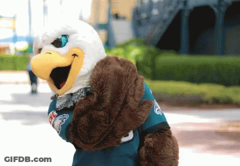Eagles Philly GIF