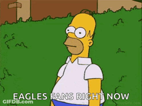 Eagles Vs KC Football Game GIF