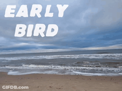 Early Bird Cartoon On Beach GIF