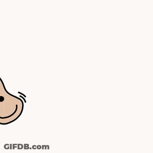 Ears As Wheels Of Bicycle GIF