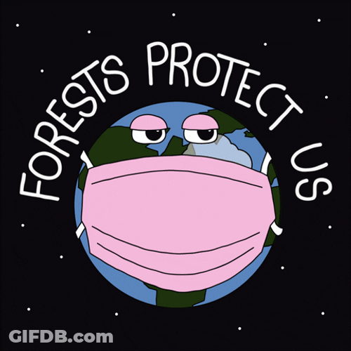 Earth Day Forests Protect Us GIF