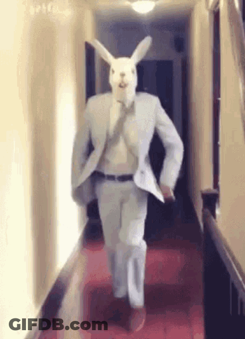 Easter Bunny Happy Easter GIF