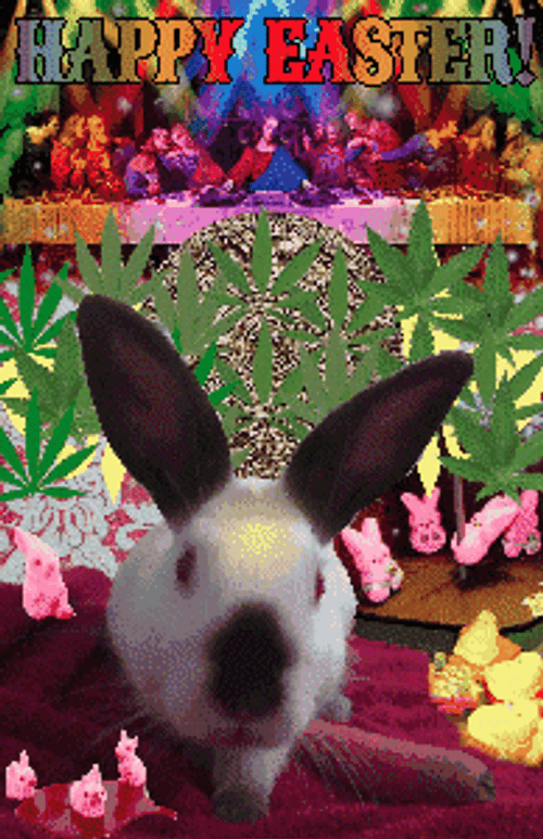 Easter Bunny Rainbow Lights GIF