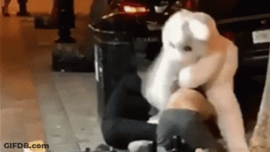 Easter Funny Bunny Fighting GIF