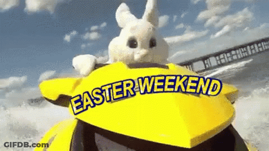 Easter Funny Bunny Jetski GIF