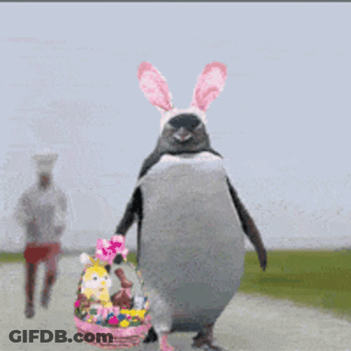 Easter Funny Penguin GIF