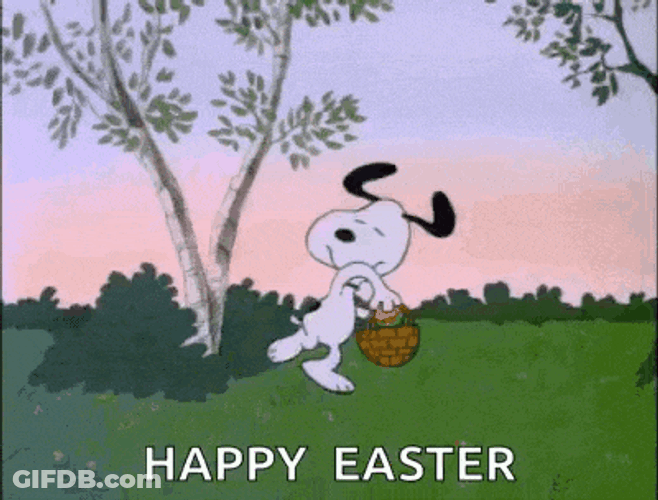 Easter Hunt GIF