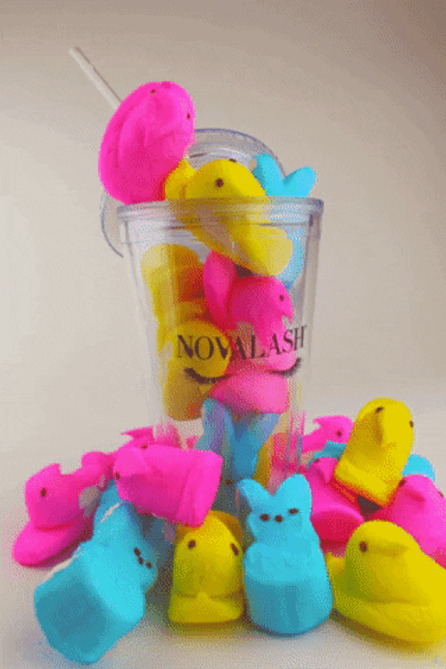 Easter Peeps In A Cup GIF