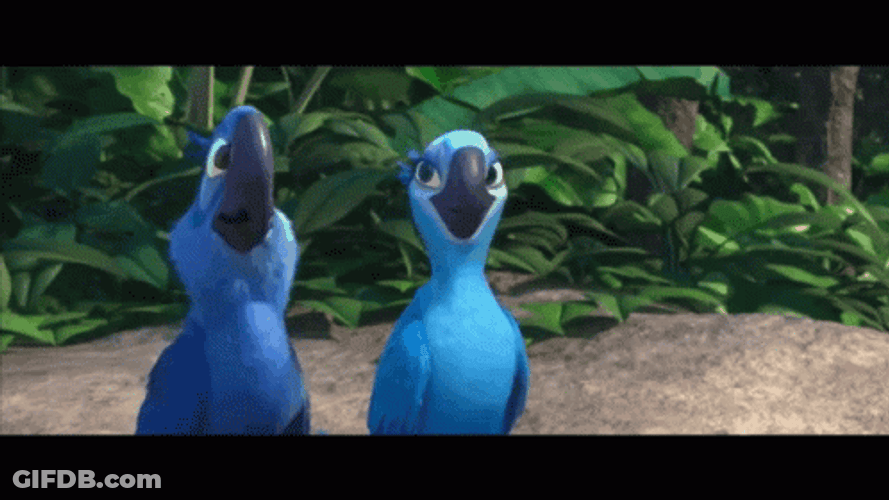 Easy Breezy Animated Dancing Macaws GIF