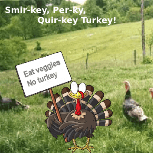 Eat Veggies No Turkey Thanksgiving Meme GIF