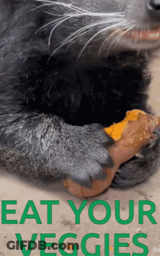 Eat Your Veggies Cat Poster GIF