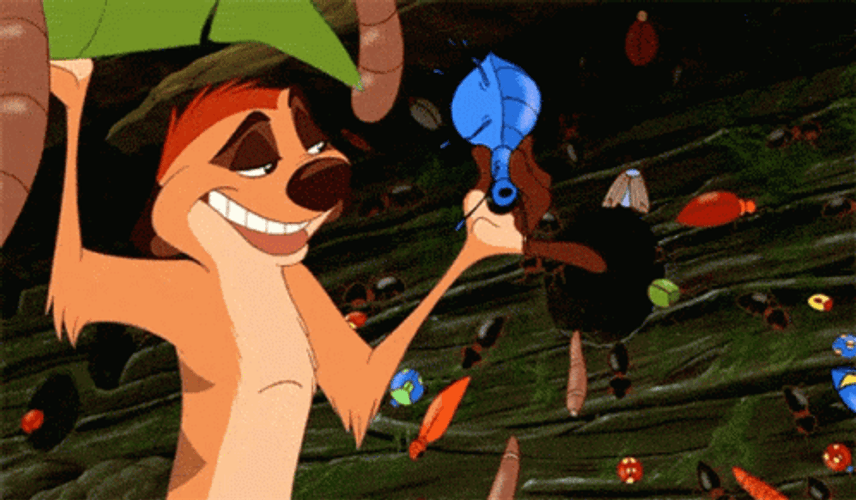 Eating Bugs Lion King Meme GIF