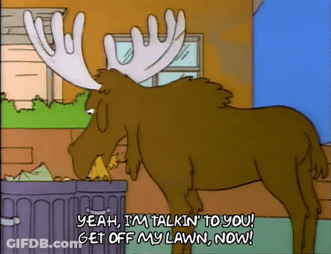 Eating Moose Get Off My Lawn GIF