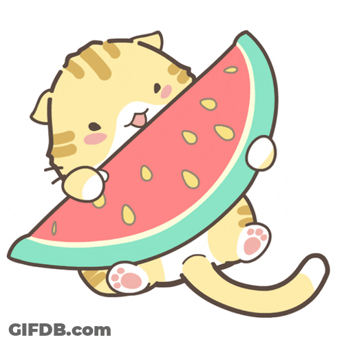 Eating Watermelon Line Stamp Happy Cat GIF