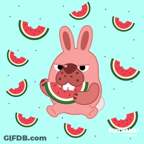 Eating Watermelon Pokopang Pink Rabbit GIF