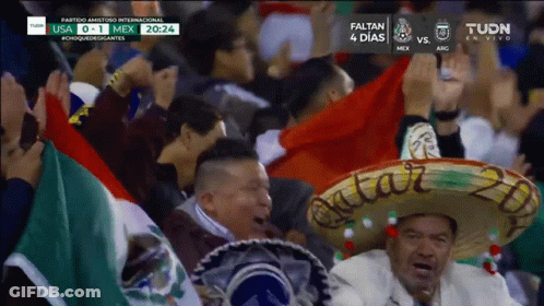 Echar Porras Mexico GIF