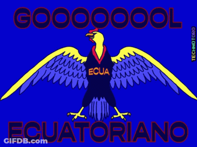 Ecuador Ecuatoriano Golden Eagle GIF