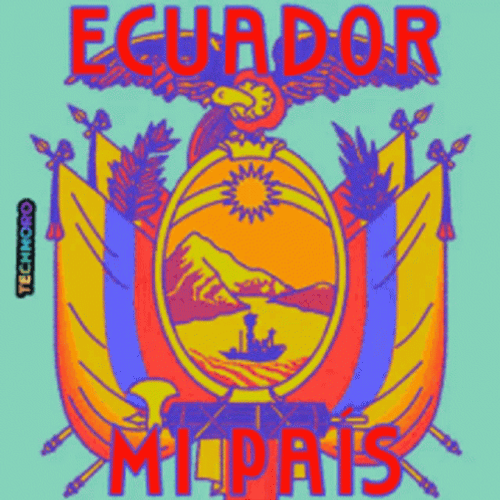 Ecuador Eliminatorias Copa America GIF