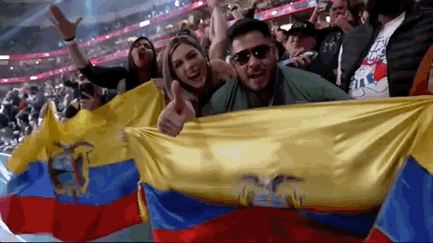 Ecuador Sports Fans Banners GIF