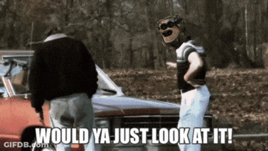 Ed Bassmaster With Mask Would Ya Look At It GIF