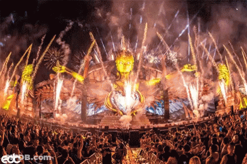 EDC Concert Crowd With Fireworks GIF