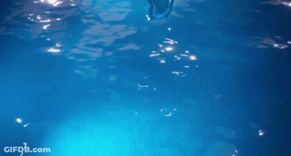 Eddie The Sheep Swimming In The Pool GIF