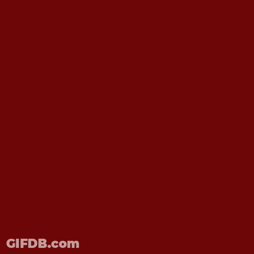 Edge & Art Creations Turtle Logo GIF