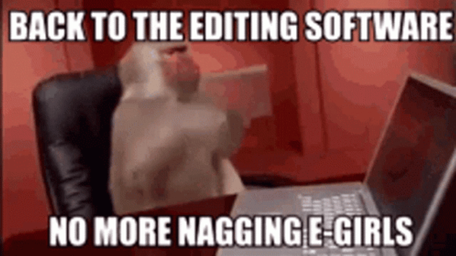 Editing Software Monkey Meme GIF
