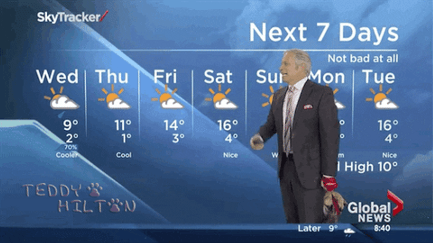 Edmonton Weatherman Plays With Dog GIF