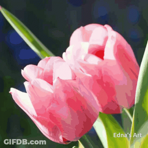 Edna 'S Art Shows A Pink Flower With Green Leaves GIF