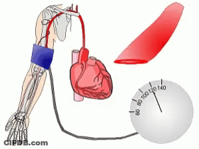 Educational High Blood Pressure Mechanism GIF