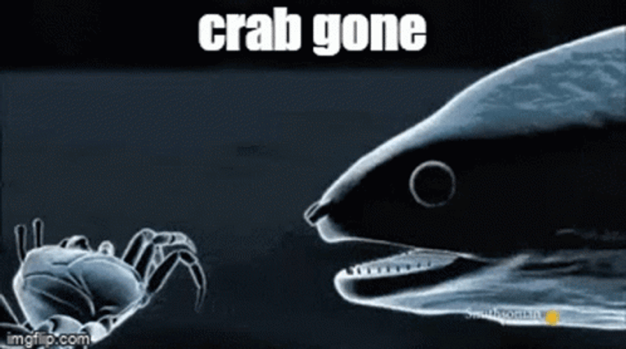 Eel Crab Gone GIF