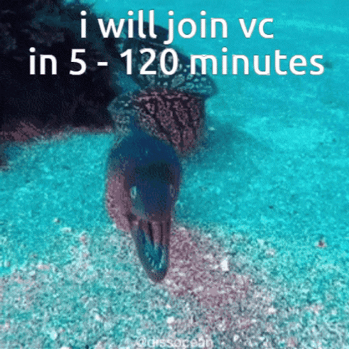 Eel I Will Join VC GIF