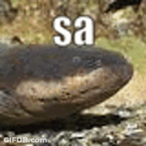 Eel Sa Bru I'm Electrifying GIF